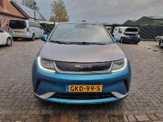 BYD Dolphin 60.4 kWh Pano Led Navi Camera picture 9