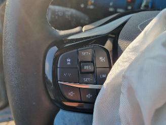 Ford Puma 1.0 Ecob Hybr Aut. Navi Stoelverw. picture 20