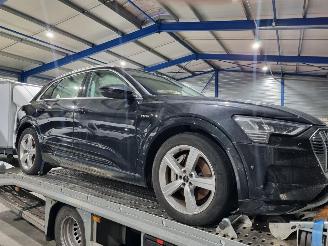 Auto incidentate Audi E-tron 50 Quattro 71Kwh Pano Navi Led 2020/5