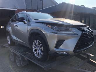 skadebil auto Lexus NX NX300 AWD 2020/6