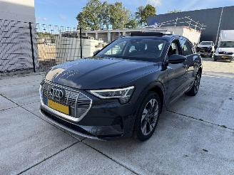 Auto incidentate Audi E-tron 50 QUATTRO Launch edition plus 71 kWh PANO - NAVI - LEDER 2019/12