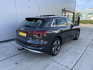 Audi E-tron 50 QUATTRO Launch edition plus 71 kWh PANO - NAVI - LEDER picture 5
