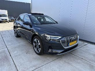 Audi E-tron 50 QUATTRO Launch edition plus 71 kWh PANO - NAVI - LEDER picture 2