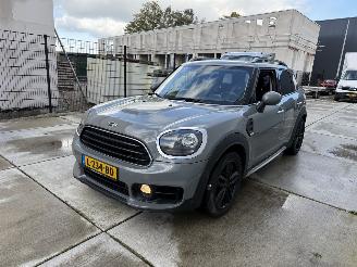 uszkodzony samochody osobowe Mini Countryman 1.5 Cooper Chili AUTOMAAT-CAMERA-NAVI-PDC 2017/2