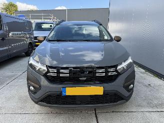 Dacia Jogger 1.0 TCE 110 Extreme CAMERA-NAVI-PDC picture 12