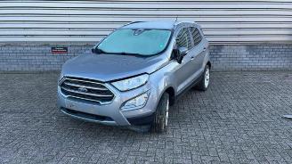 Ford EcoSport EcoSport (JK8), SUV, 2013 1.0 EcoBoost 12V 125 2020/8