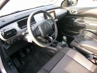 Citroën C4 cactus 1.2 PURETECH BUSINESS CLIMA NAVI PANO picture 15