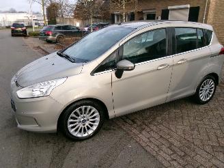Schadeauto Ford B-Max 1.0 TITANIUM CLIMA 2013/3