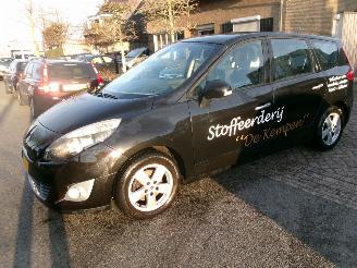 Avarii autoturisme Renault Grand-scenic 1.4 I BUSINESS SPORT 7 PERSOONS CLIMA 2010/1