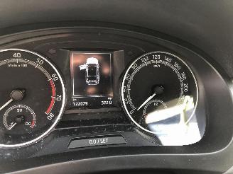 Skoda Rapid 1.0 picture 19