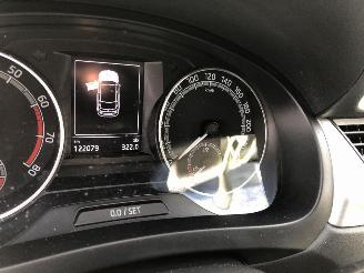 Skoda Rapid 1.0 picture 16