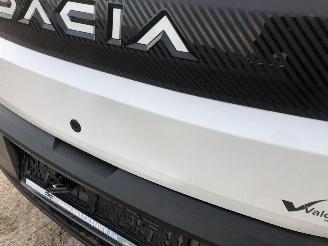 Dacia Spring EXPRESSION picture 13