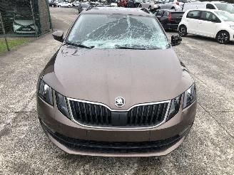 Skoda Octavia AMBITION 1.0 TSI picture 13