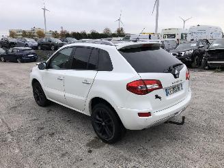 Renault Koleos 2.0 DCI  BOSE picture 2