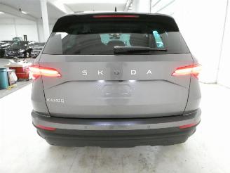Skoda Karoq SELECTION picture 7