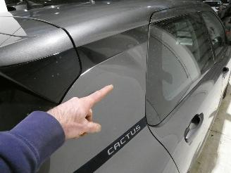 Citroën C4 CACTUS picture 12