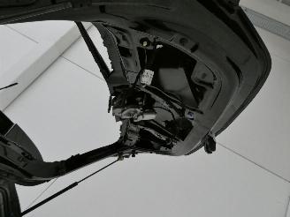 Opel Corsa-E OPC LINE picture 20