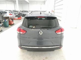 Renault Clio MOTORSCHADE picture 5