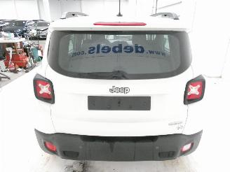 Jeep Renegade LONGITUDE picture 7