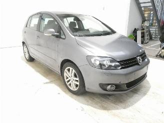 Volkswagen Golf plus PL HIGH 1.6 TDI picture 17