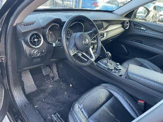 Alfa Romeo Stelvio Q4 ENGINE OUT picture 6