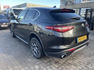 Alfa Romeo Stelvio Q4 ENGINE OUT picture 12