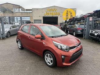 skadebil auto Kia Picanto 1.0I 2019/5