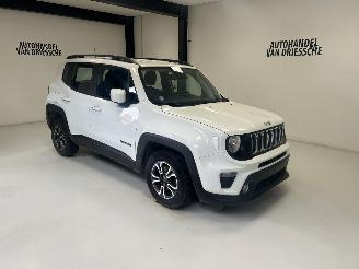 Damaged car Jeep Renegade  2019/9