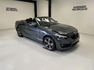 Damaged car BMW 2-serie SPORTLINE AUTOMAAT 2019/3