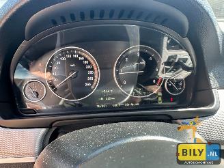 BMW  F10 518D Alpinewiess 3 picture 14