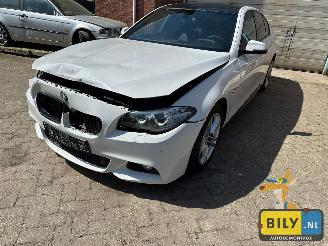demontáž osobní automobily BMW  F10 518D Alpinewiess 3 2014/1