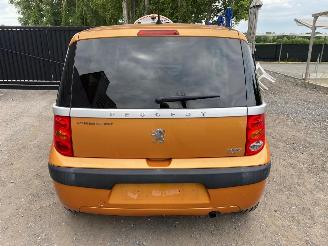 Peugeot 1007 DOLCE picture 14