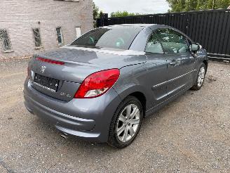 Peugeot 207 CC SPORT picture 15