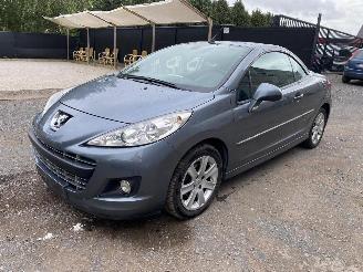 Peugeot 207 CC SPORT picture 9