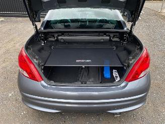 Peugeot 207 CC SPORT picture 13