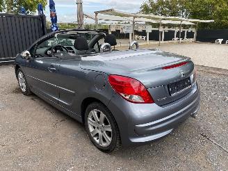 Peugeot 207 CC SPORT picture 19