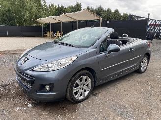 Peugeot 207 CC SPORT picture 18