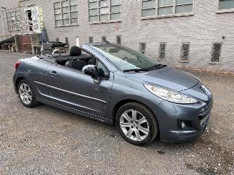 Peugeot 207 CC SPORT picture 17