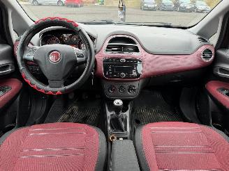 Fiat Punto EVO picture 24