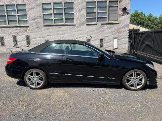 Unfallwagen Mercedes E-klasse E 250 CDI BLUE EFFIC 2010/5