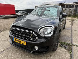 Damaged car Mini Countryman Cooper S E ALL4 Chili 2019/6