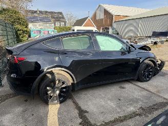 Tesla Model Y Long Range AWD 75kWh picture 2