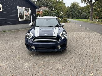 Mini Countryman Countryman COOPER 1.5 EDITION NAVI CLIMA CAMERA LED KEYLESS B.J 2019 picture 10