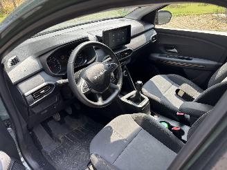 Dacia Sandero STEPWAY FACELIFT EXTREEM CLIMA CAMERA LED PDC CRUISE B.J 2024 picture 10