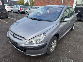 Peugeot 307  picture 1