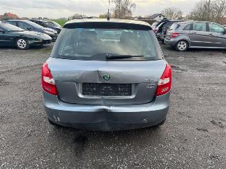 Skoda Fabia  picture 13