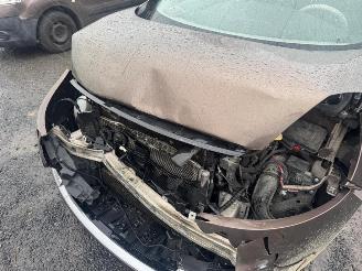 Renault Mégane Scénic III SCENIC III PRIVILEGE picture 25