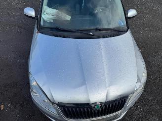 Skoda Fabia  picture 13