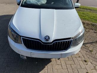 Skoda Fabia Fabia III Combi (NJ5), Combi 5-drs, 2014 / 2022 1.2 TSI 16V Greentech picture 8