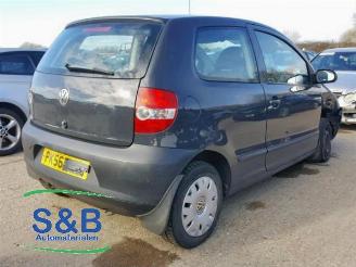 Volkswagen Fox  picture 4